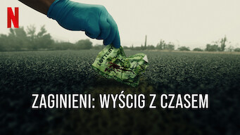 Zaginieni: Wyścig z czasem (2023)