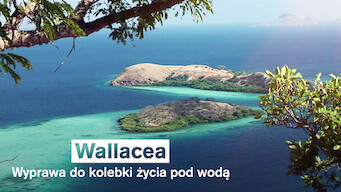 Wallacea: Wyprawa do kolebki życia pod wodą (2007)