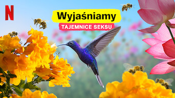 Wyjaśniamy tajemnice seksu (2020)