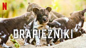 Drapieżniki (2023)