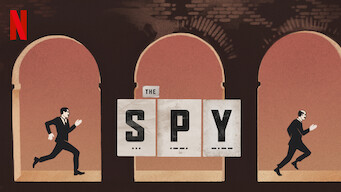 The Spy (2019)