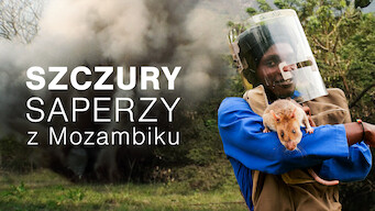 Szczury saperzy z Mozambiku (2008)