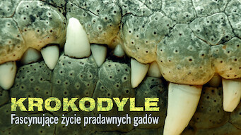 Krokodyle: Fascynujące życie pradawnych gadów (2011)